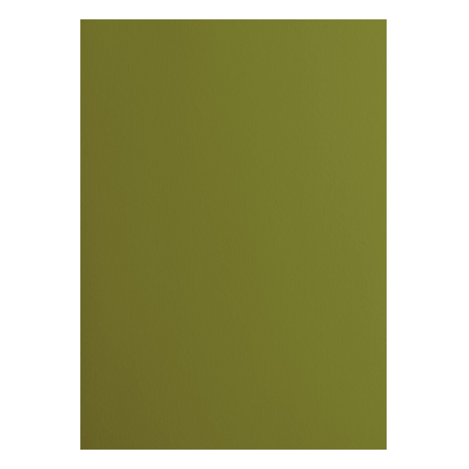 Florence • papier cartonné 216g lisse a4 olive 10x