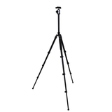 NEST TRIPOD WF-6627 + CHEAUX DE BALL - afbeelding 1