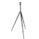 NEST TRIPOD WF-6627 + CHEAUX DE BALL