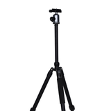 NEST TRIPOD WF-6627 + CHEAUX DE BALL - afbeelding 3