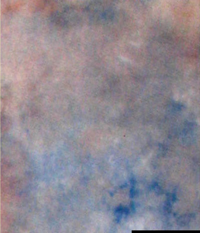 FALCON EYES FORGMENT TISSE S122 2,9X7 M