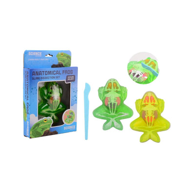 Johntoy Science Explorer Frog Anatomy Mucus