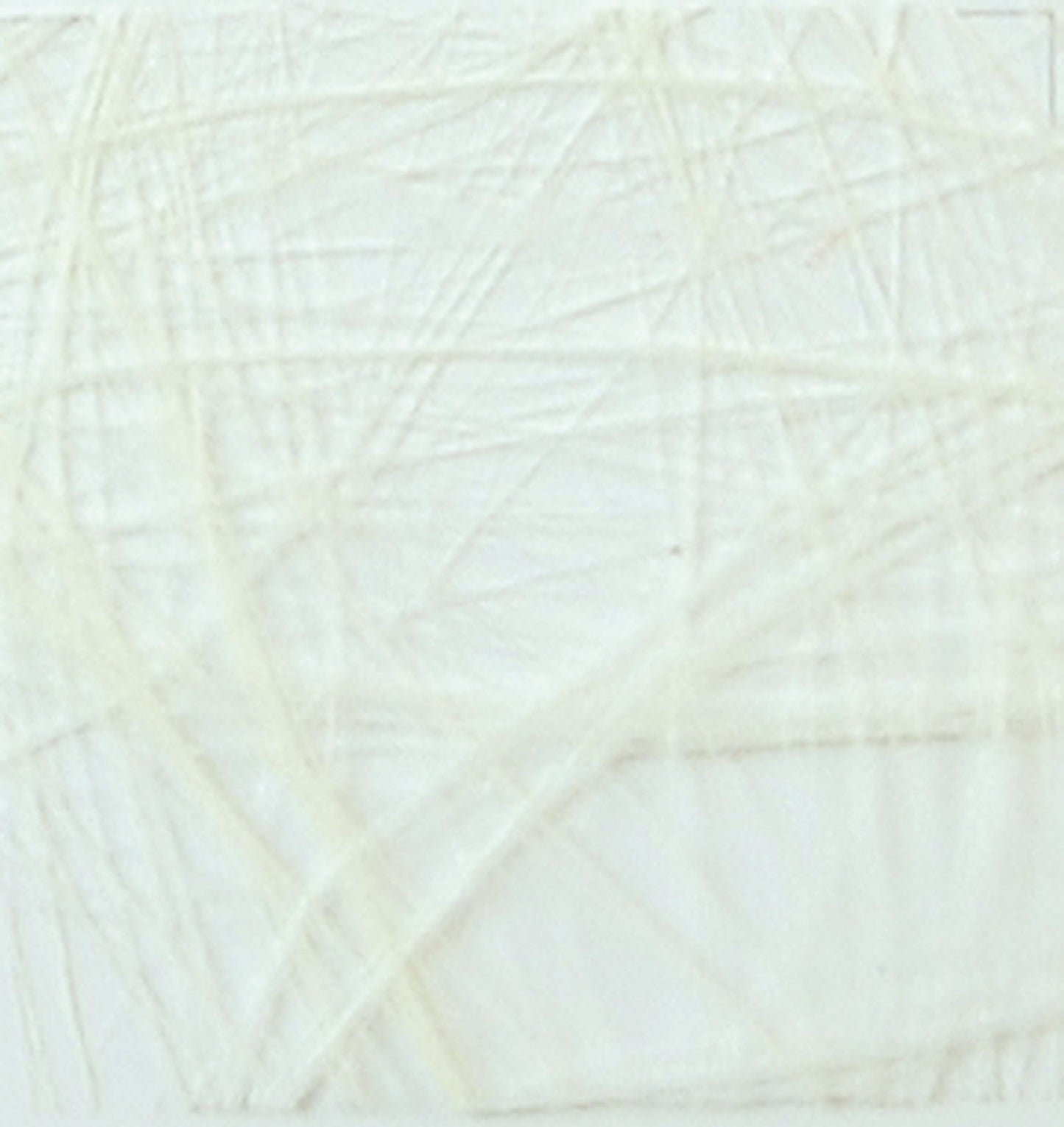 Vaessen creative • sizoweb 5mx30cm en tube crème
