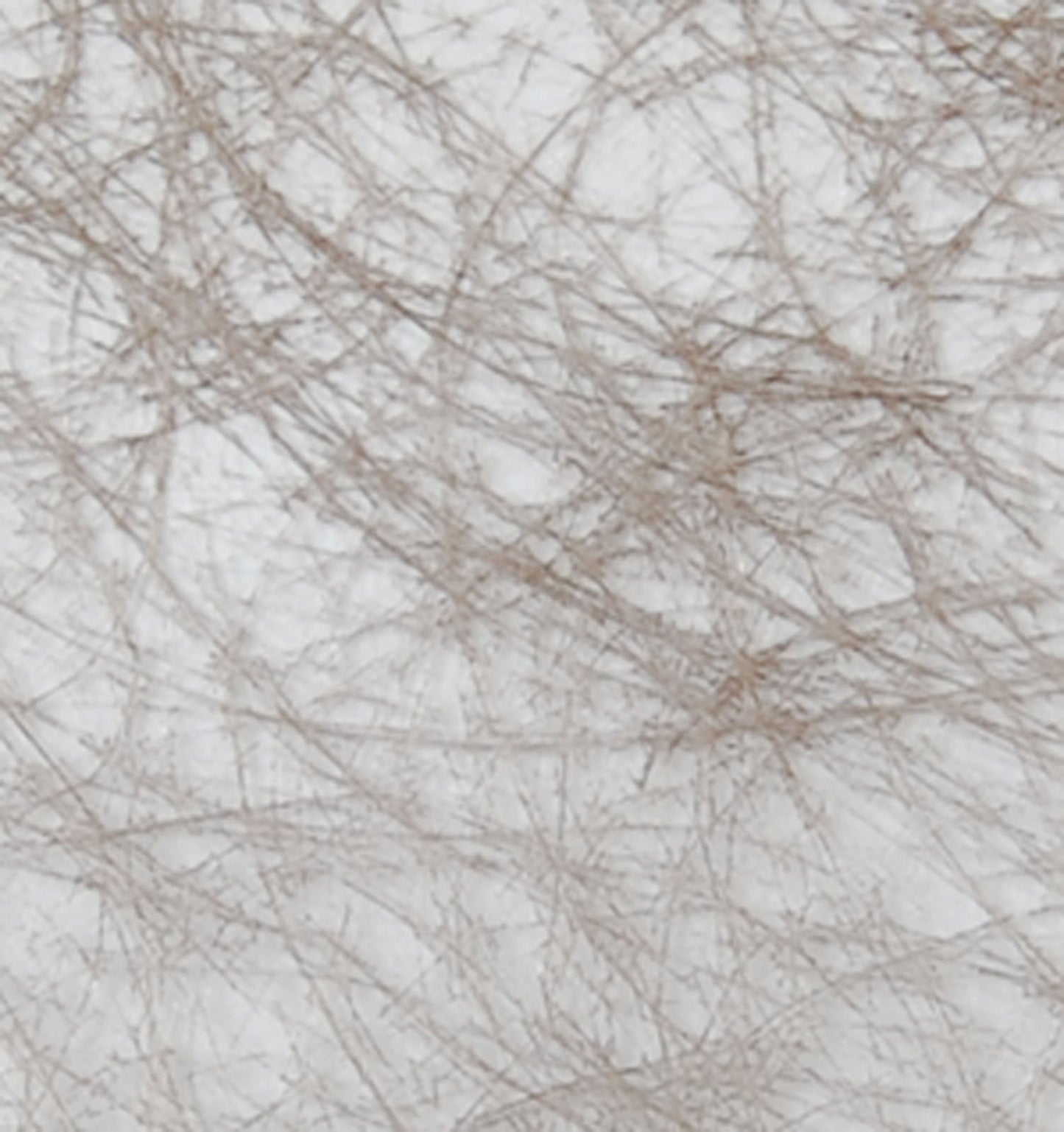 Vaessen creative • sizoweb 5mx30cm en tube taupe