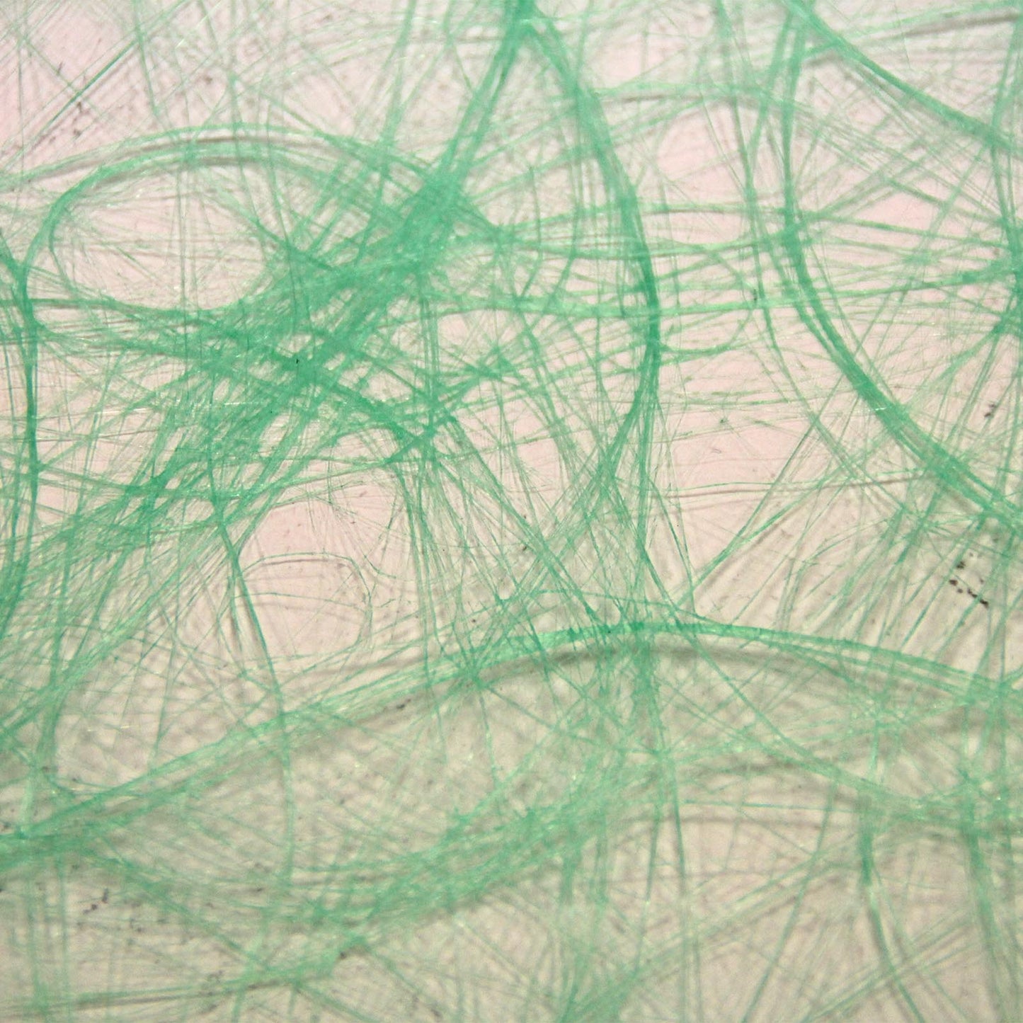 Vaessen creative • sizoweb 5mx30cm en tube vert fluo