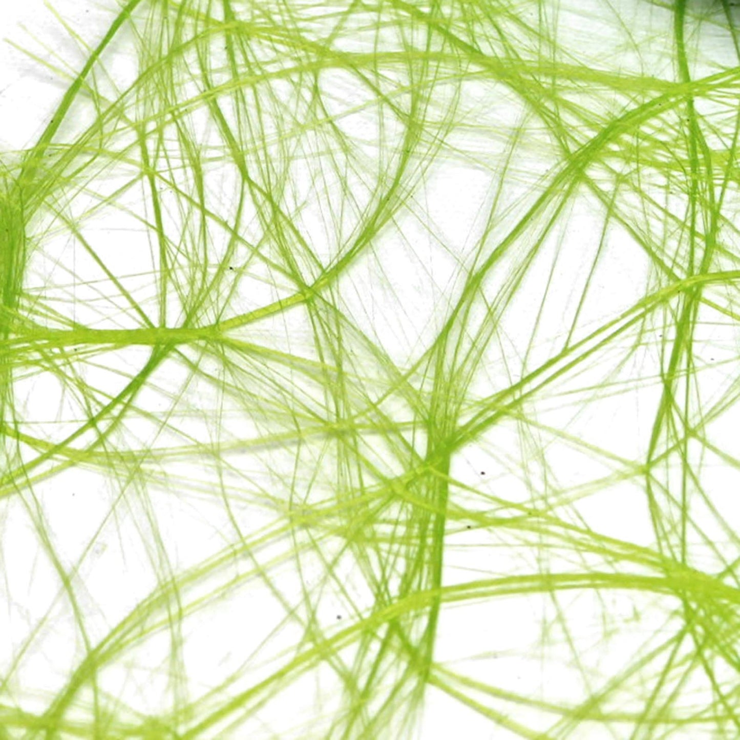 Vaessen creative • sizoweb 25mx30cm citron vert