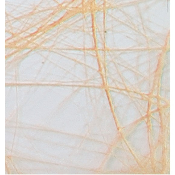 Vaessen creative • sizoweb 5mx10cm abricot