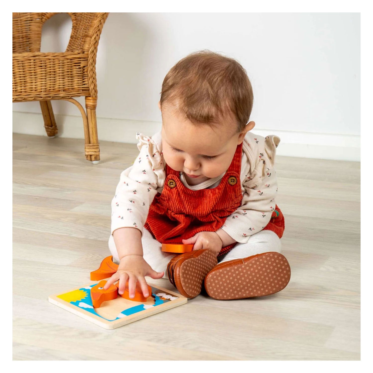 Bigjigs puzzle en forme de bois ptérodactyle - 4 pcs.