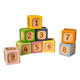 Blocs de tri souples en bois Bigjigs - 9 pcs.