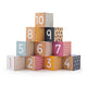 Bigjigs Blocs de numéros en bois