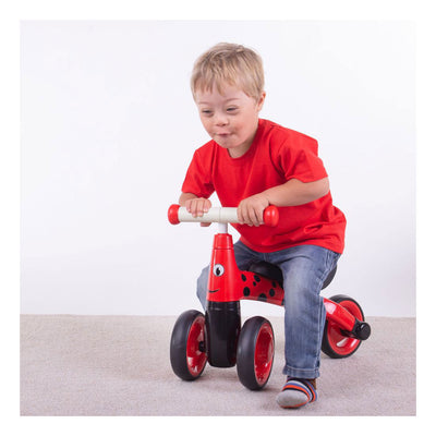 Bigjigs diditrike ladybug