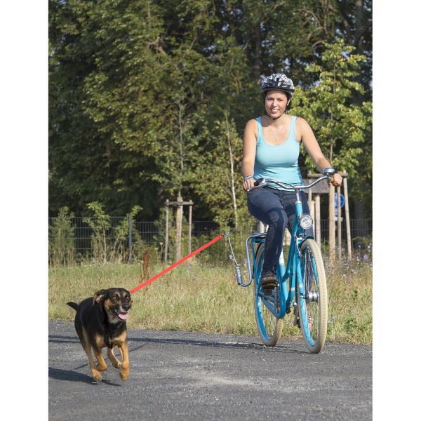Support de bicyclette de chien à l'onde