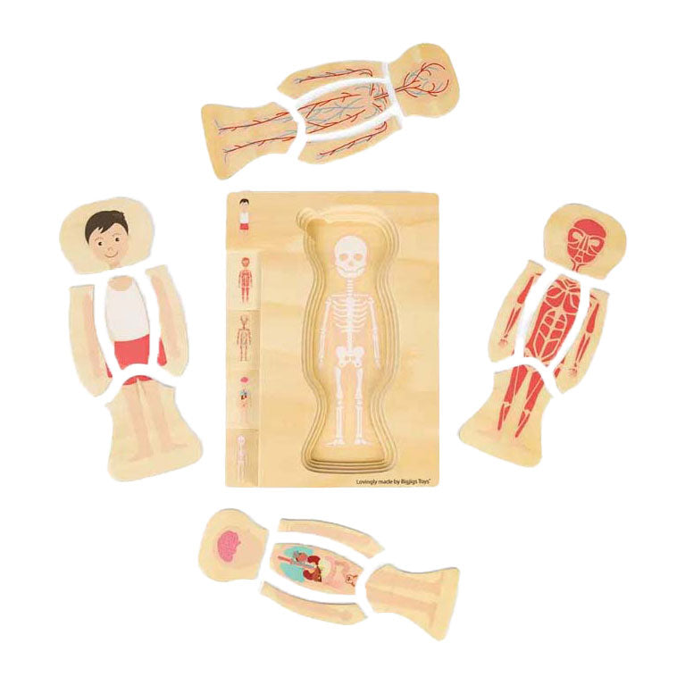 Bigjigs en bois anatomiepuzzel - garçon, 26e.