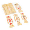 Bigjigs en bois anatomiepuzzel - garçon, 26e.