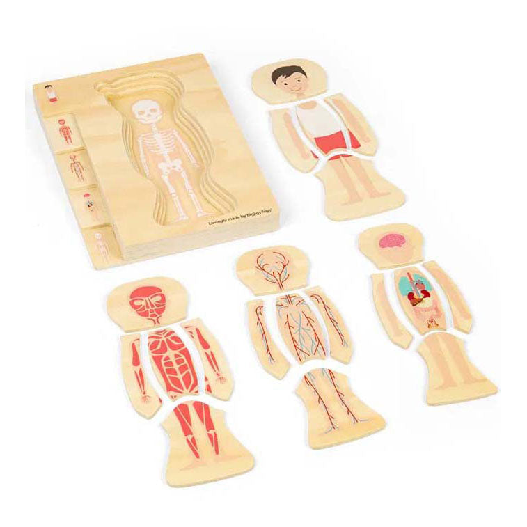 Bigjigs en bois anatomiepuzzel - garçon, 26e.