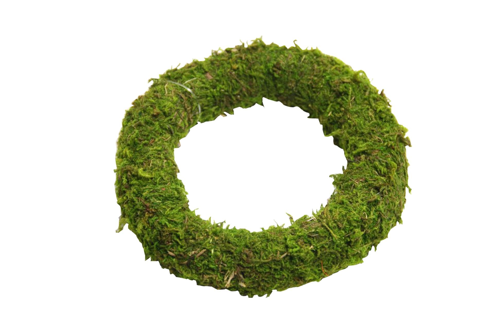 Couronne vivante naturelle HBx Mousse d'Asie ø10cm