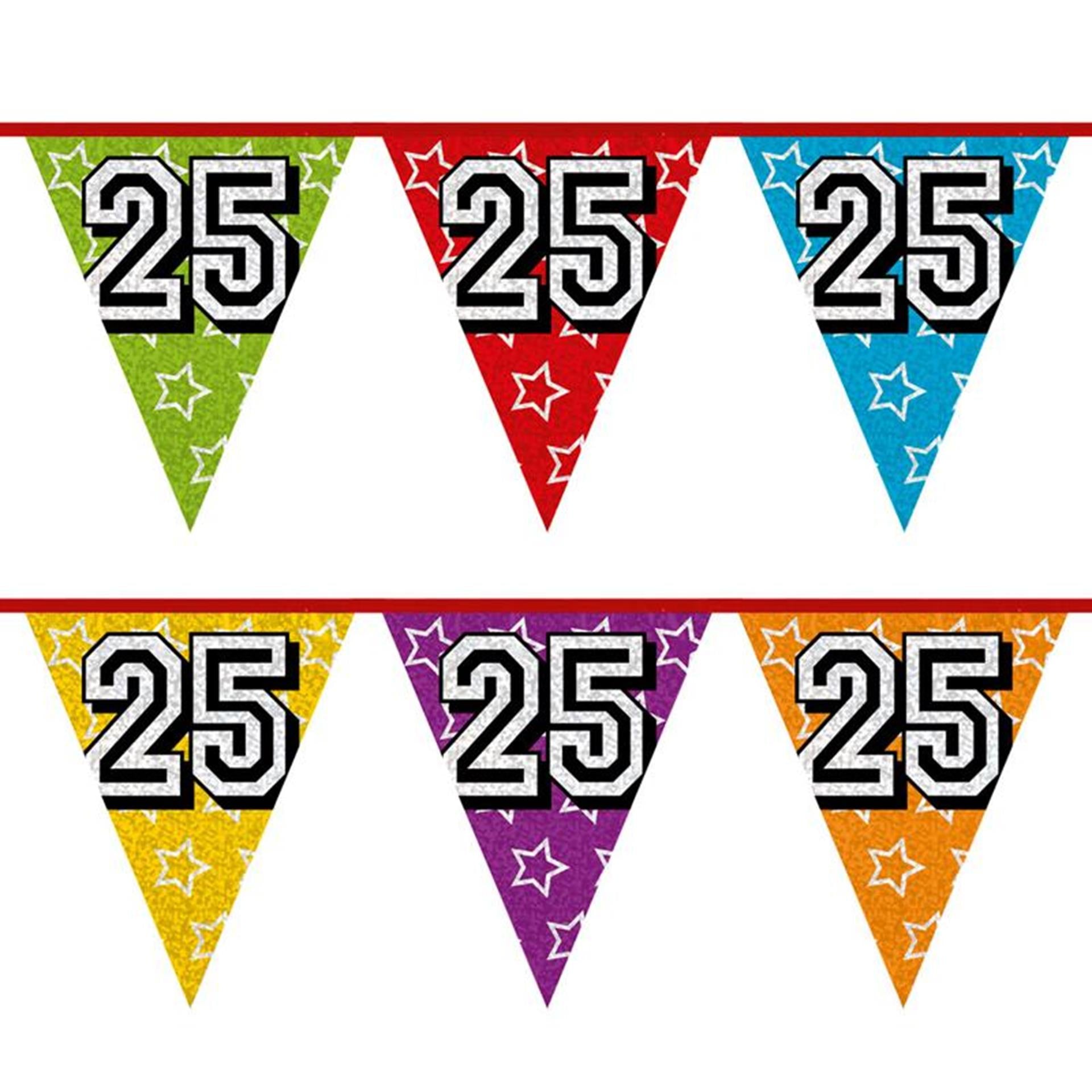 Ligne de drapeau holographique Boland 25 ans 8 mètres
