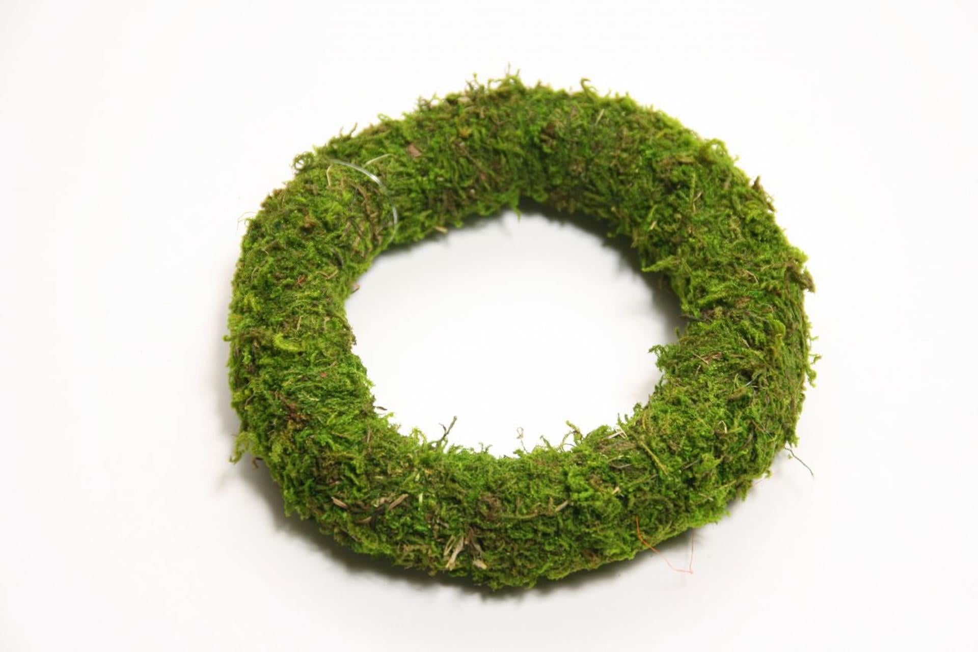 Couronne vivante naturelle HBx Mousse d'Asie ø40cm