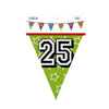 Ligne de drapeau holographique Boland 25 ans 8 mètres