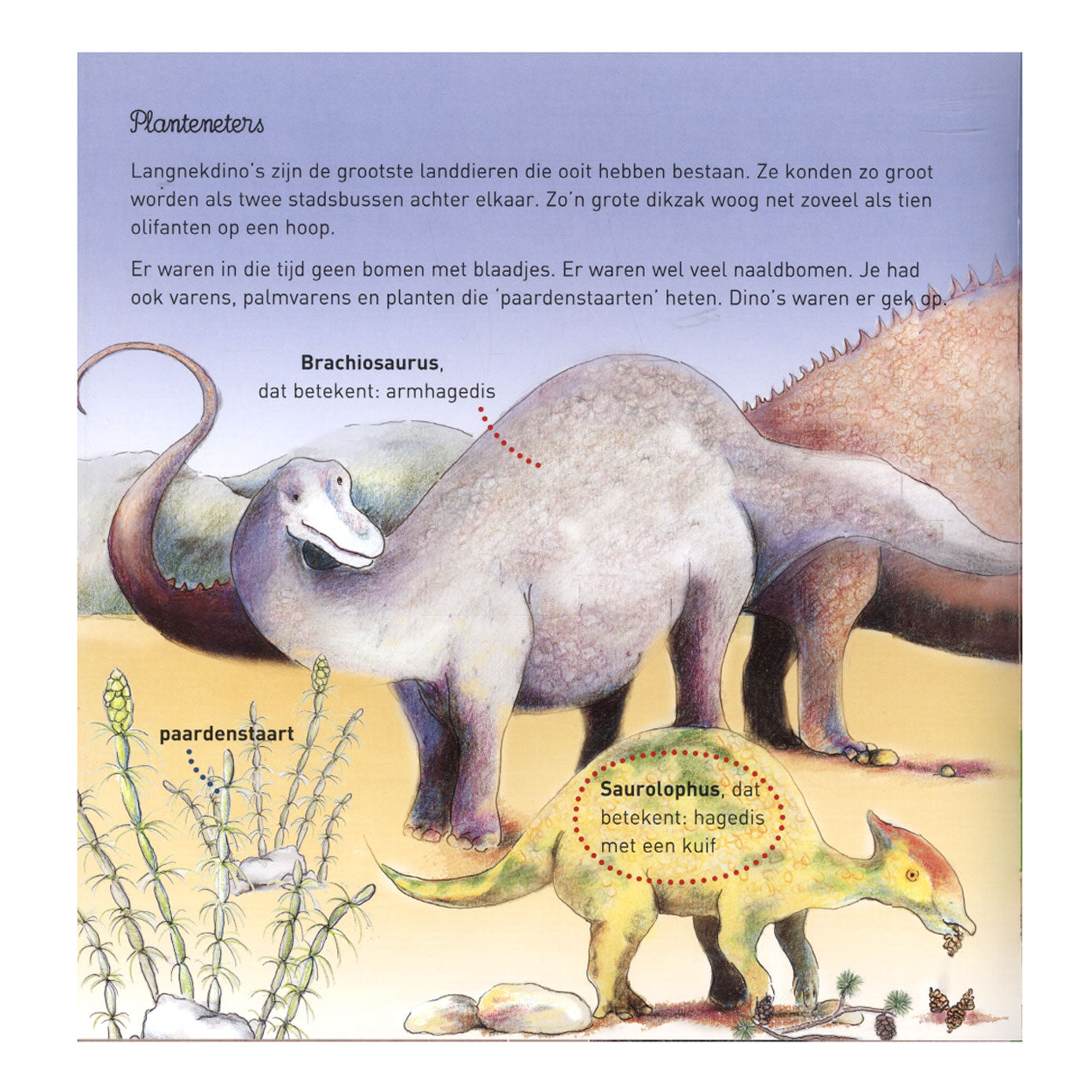 Maison centrale du livre Willewete - dinosaures
