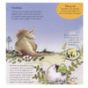 Maison centrale du livre Willewete - dinosaures