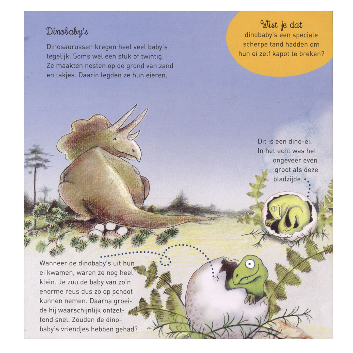 Maison centrale du livre Willewete - dinosaures