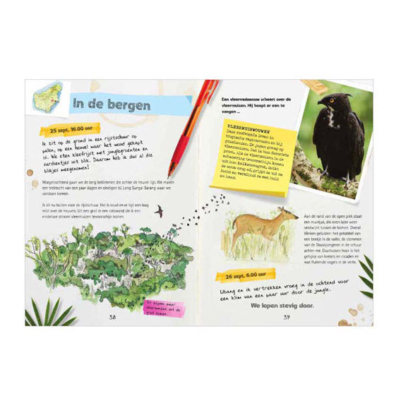 Journal central de la maison du livre d'un explorateur - expédition dans la forêt tropicale