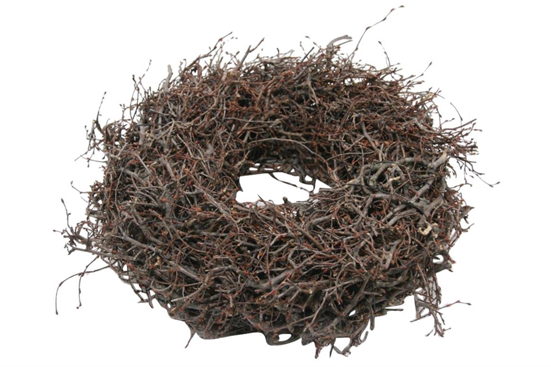 HBx couronne vivante naturelle sauvagement bonsaï épais ø30cm