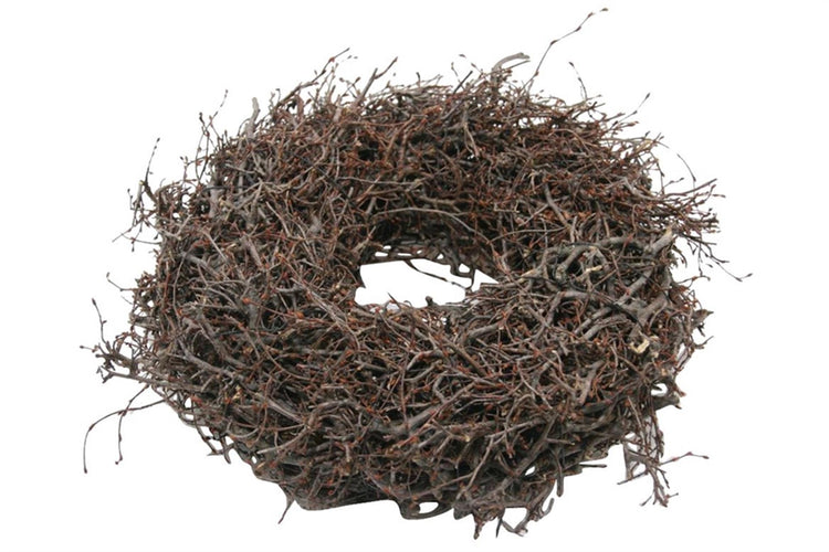 HBx couronne vivante naturelle sauvagement bonsaï épais ø30cm