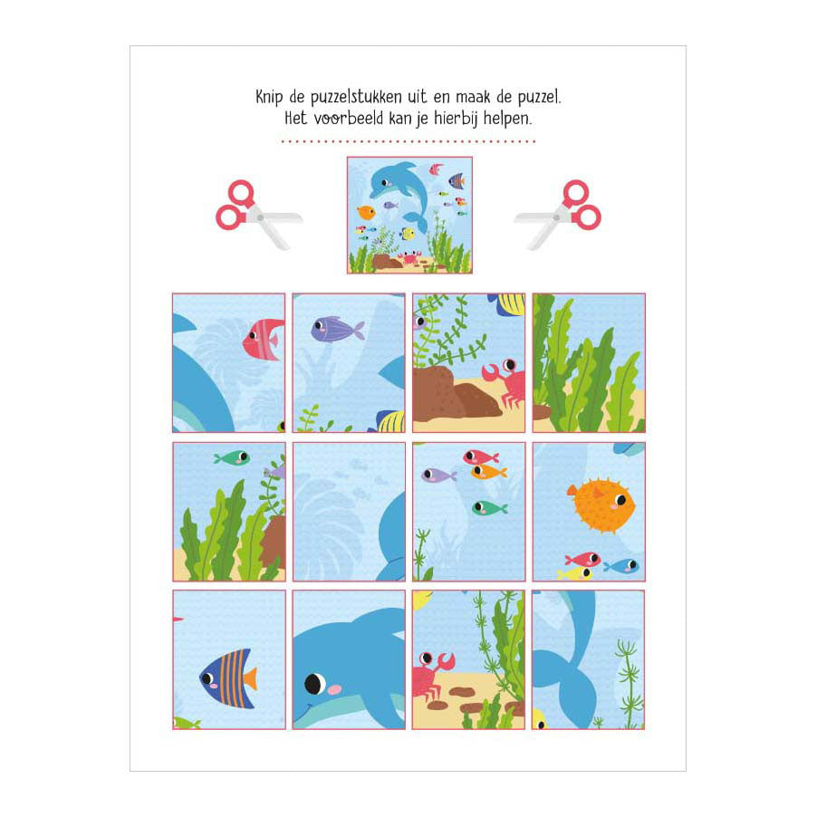 Éditeur standard mes premiers jeux de logique 4+ animaux