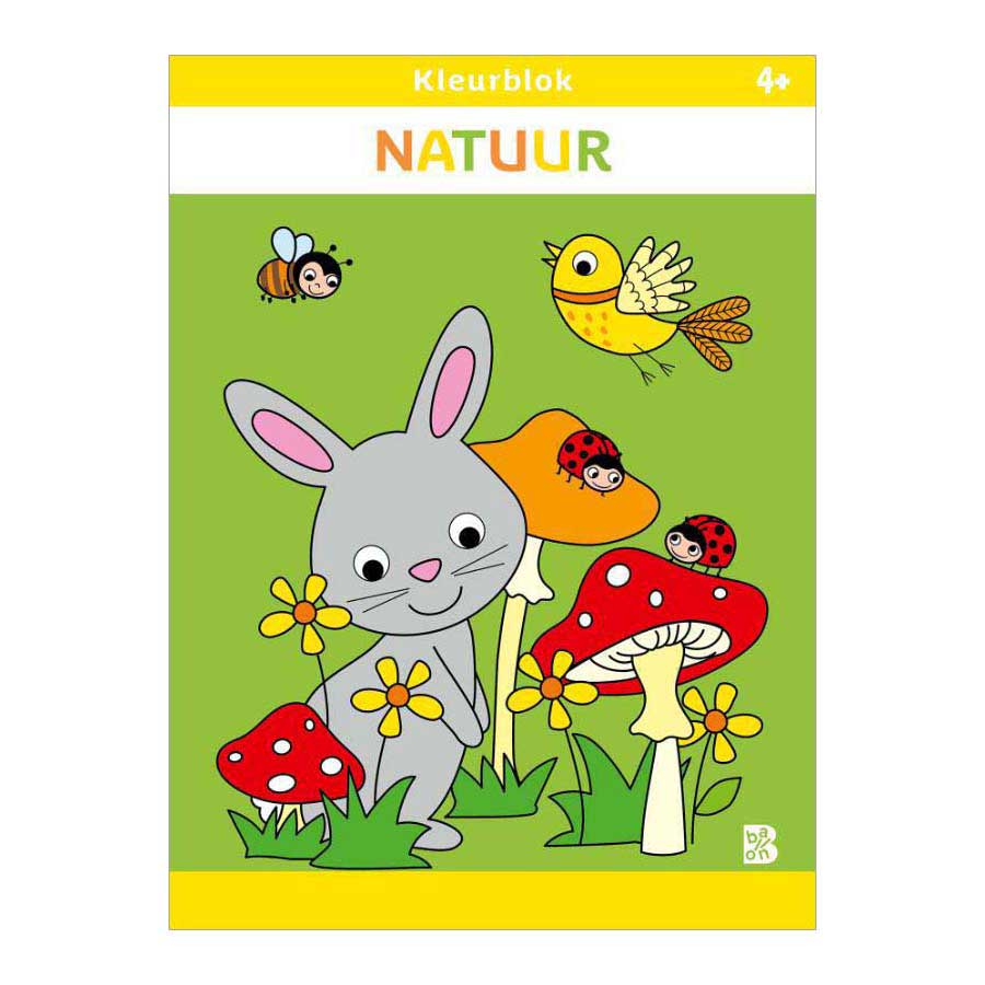 Bloc de couleur de l'éditeur standard nature 4+