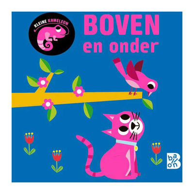 Petit caméléon éditeur standard - au-dessus et en dessous de 12 mois et plus