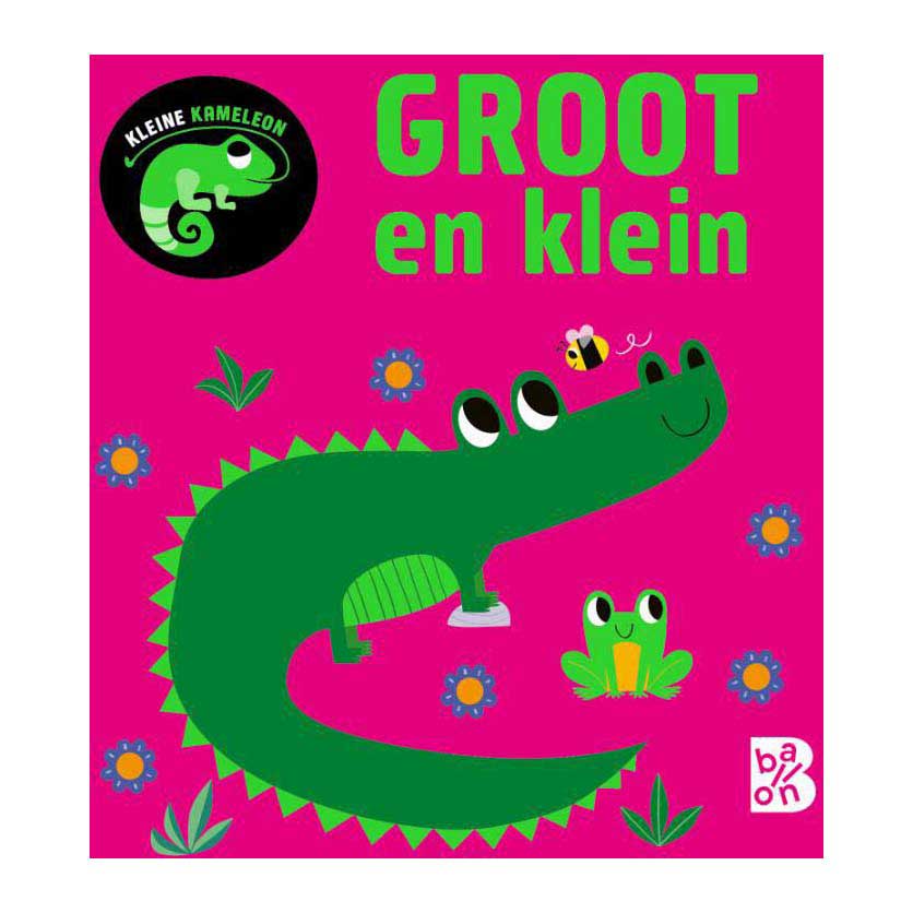 Éditeur standard petit caméléon - grand et petit 12m+