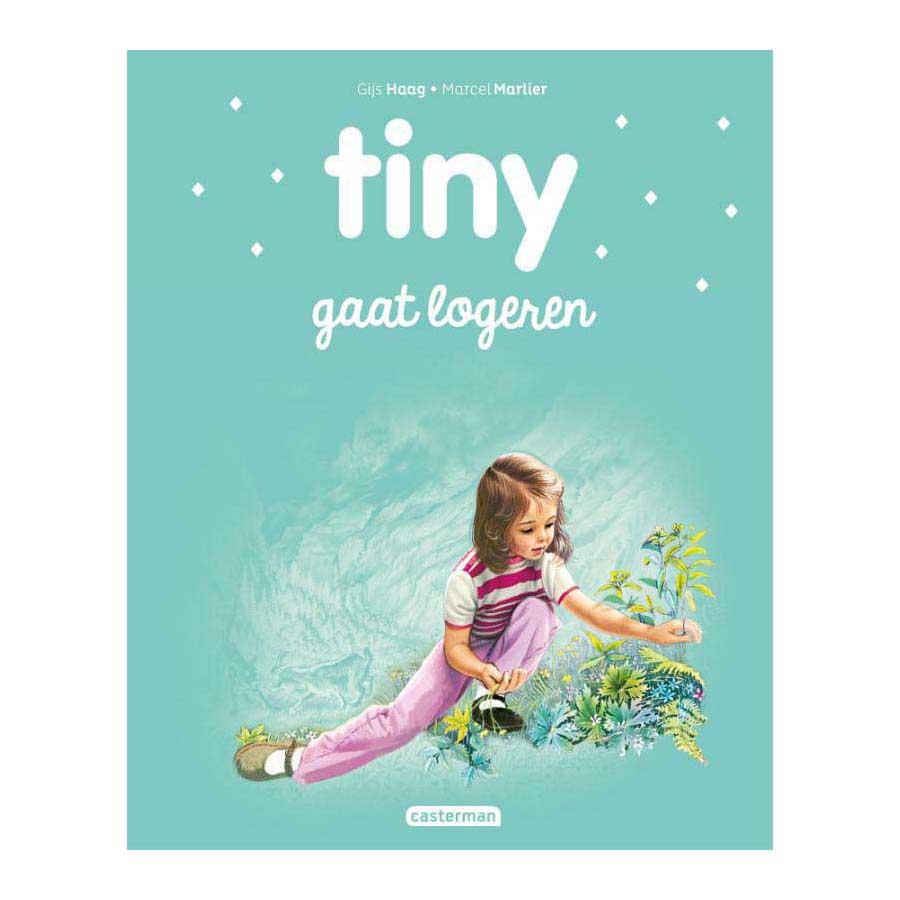 L’éditeur standard Tiny va rester