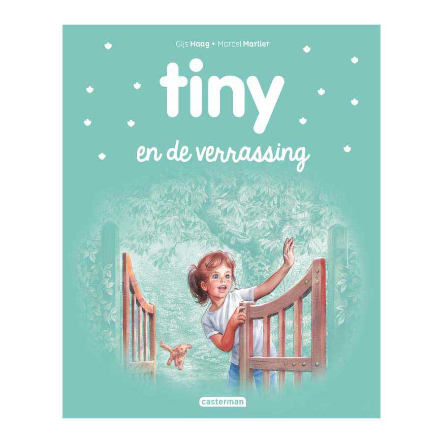 L'éditeur standard Tiny et la surprise
