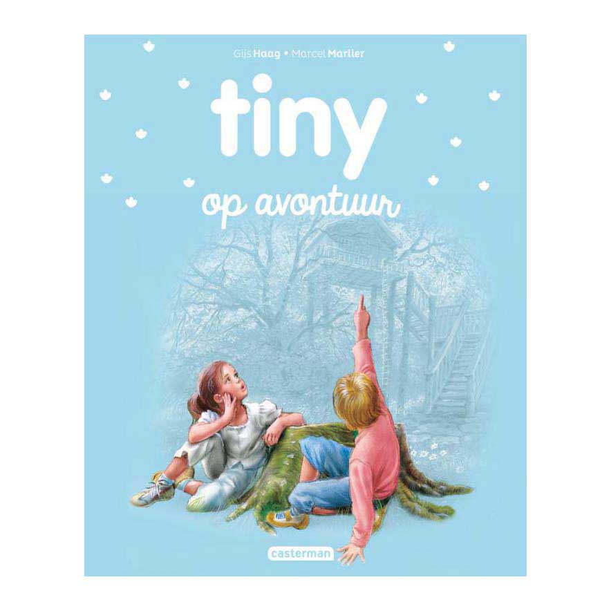 L'éditeur standard Tiny à l'aventure