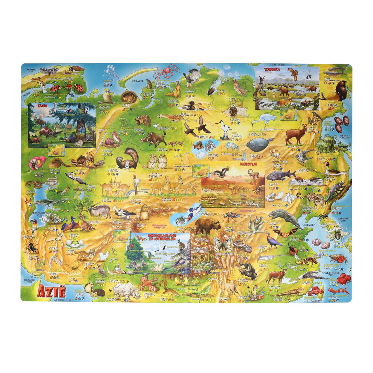 Cartes orales Mega Children's Atlas of the Animals