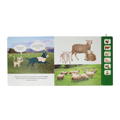 Cartes orales écouter le livre de son des animaux de ferme