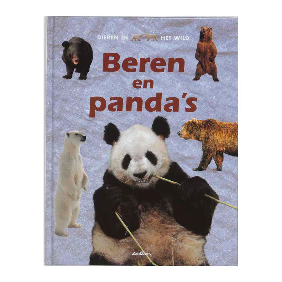 Faune des éditeurs de lanternes - ours et pandas