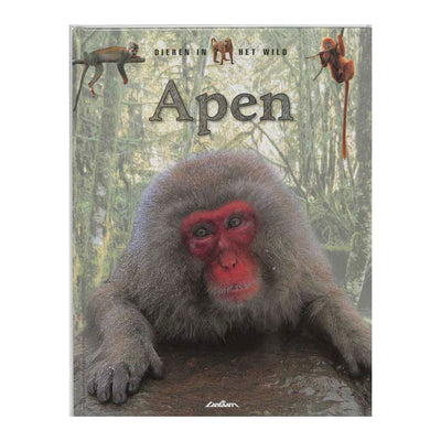 Lanterne éditeurs faune - singes