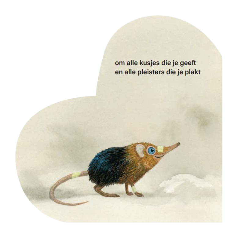 Livre en carton c'est pour ça que je t'aime maman