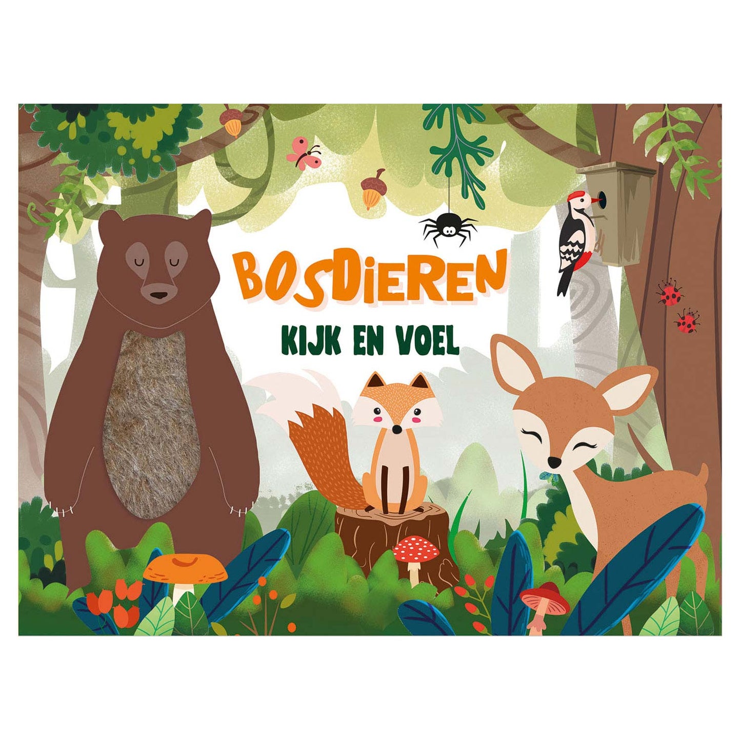 Regarder et ressentir - Animaux de forêt