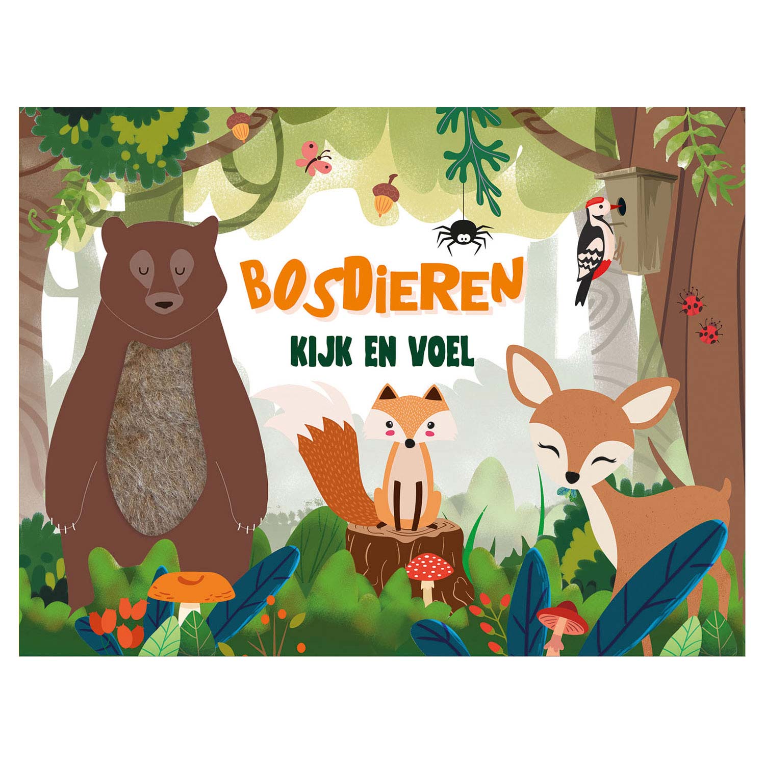 Regarder et ressentir - Animaux de forêt