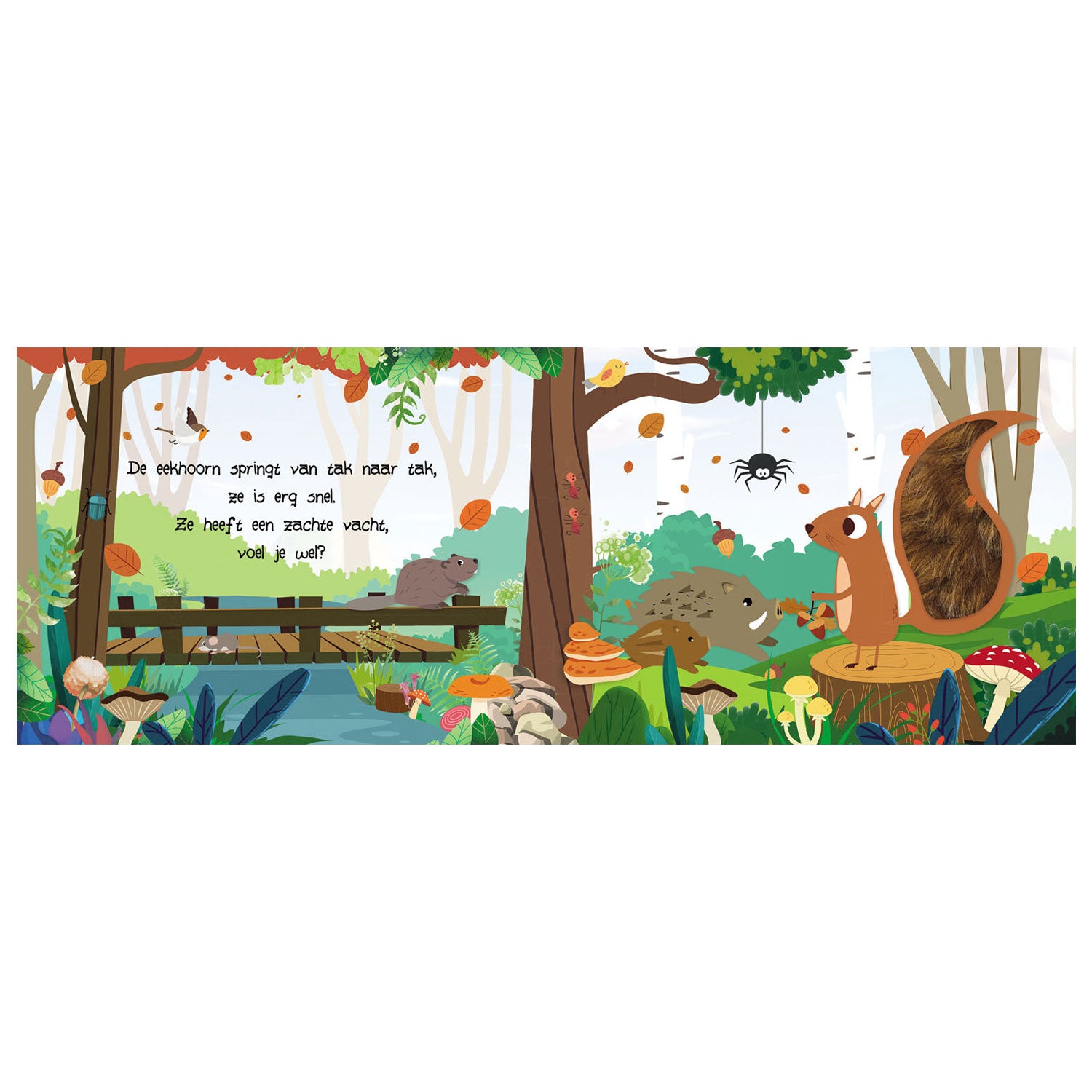 Regarder et ressentir - Animaux de forêt
