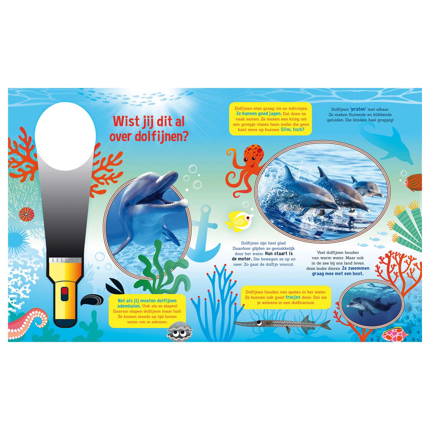 Rechercher des dauphins + lampe de poche en carton