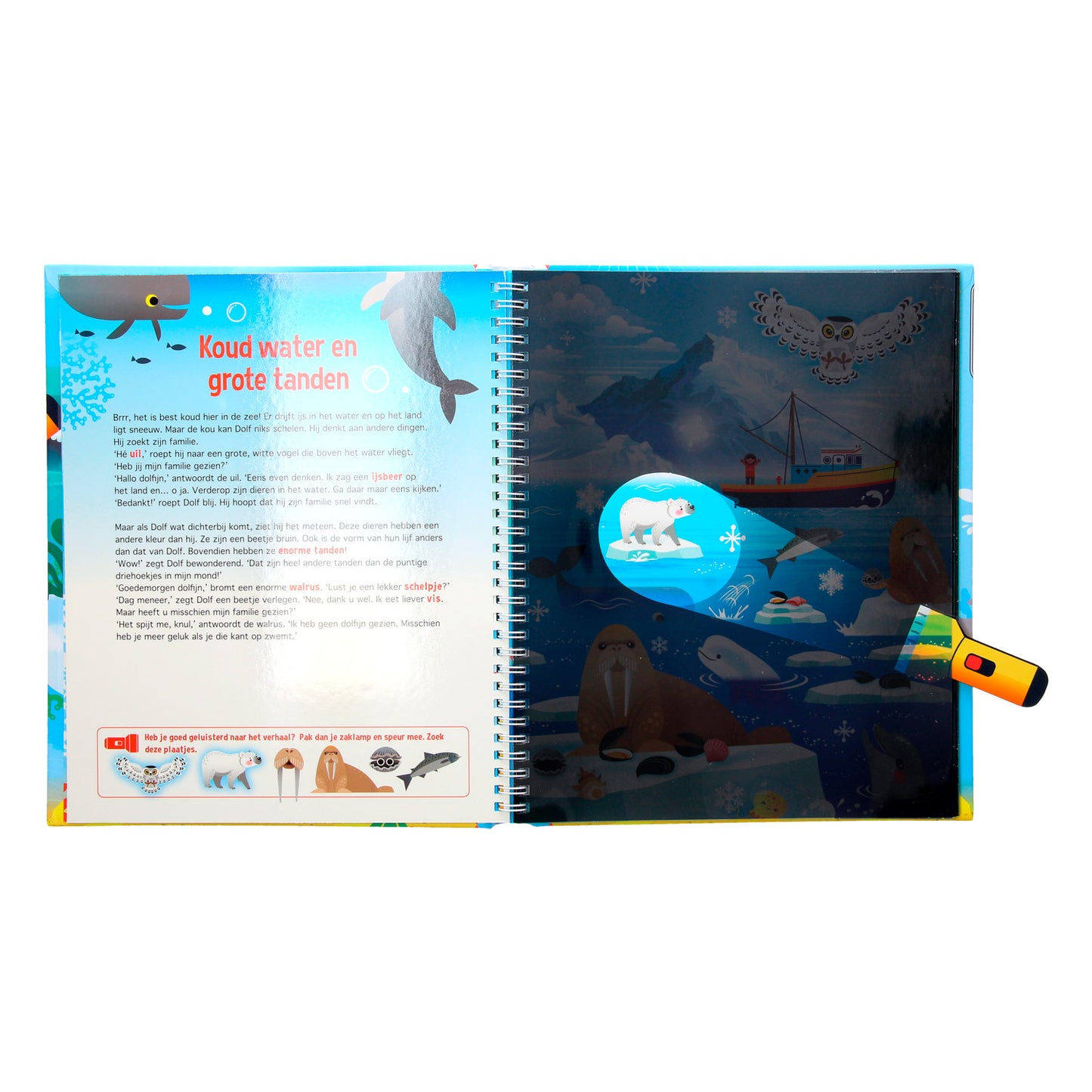 Rechercher des dauphins + lampe de poche en carton