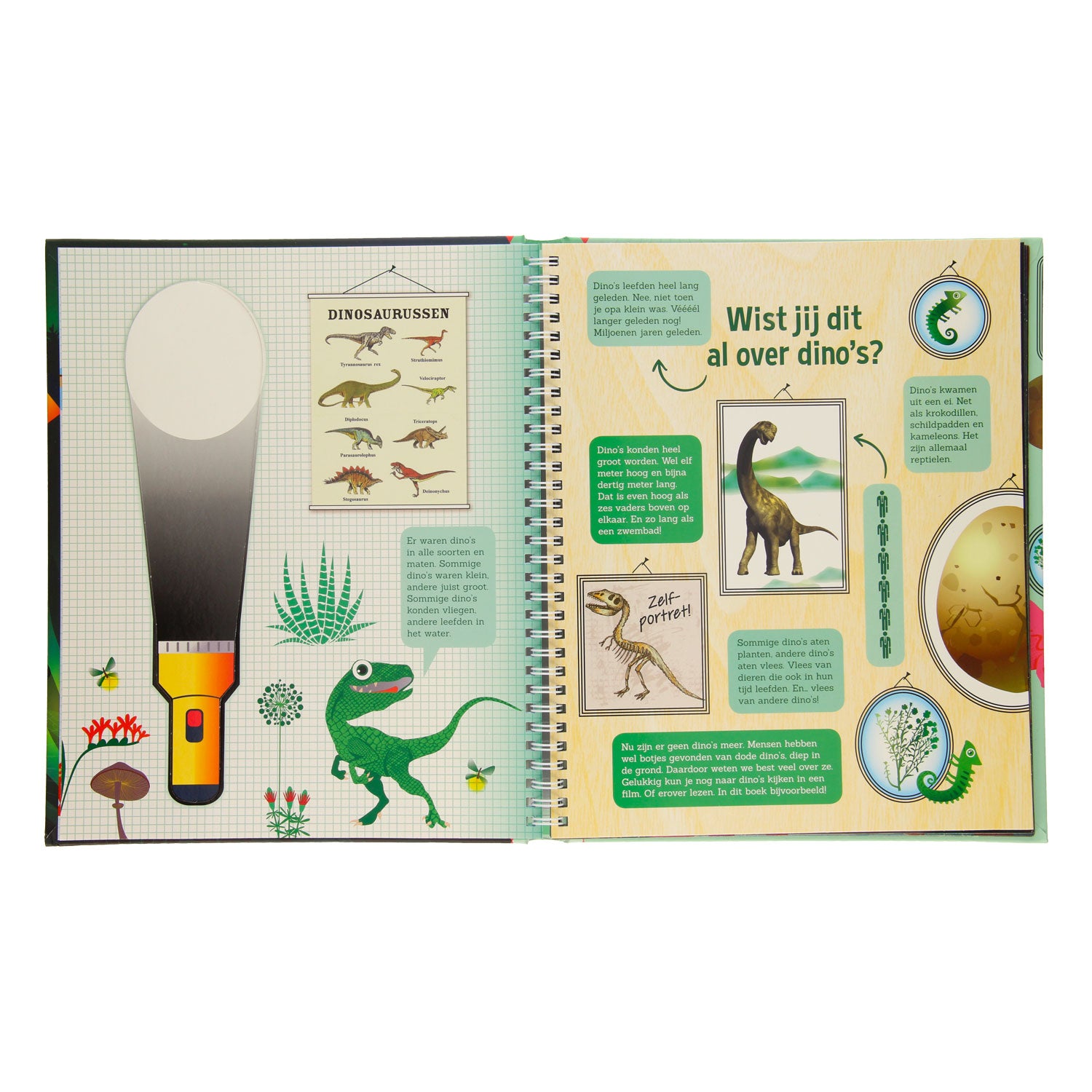 Recherche dans la lampe de poche Dinobos + en carton