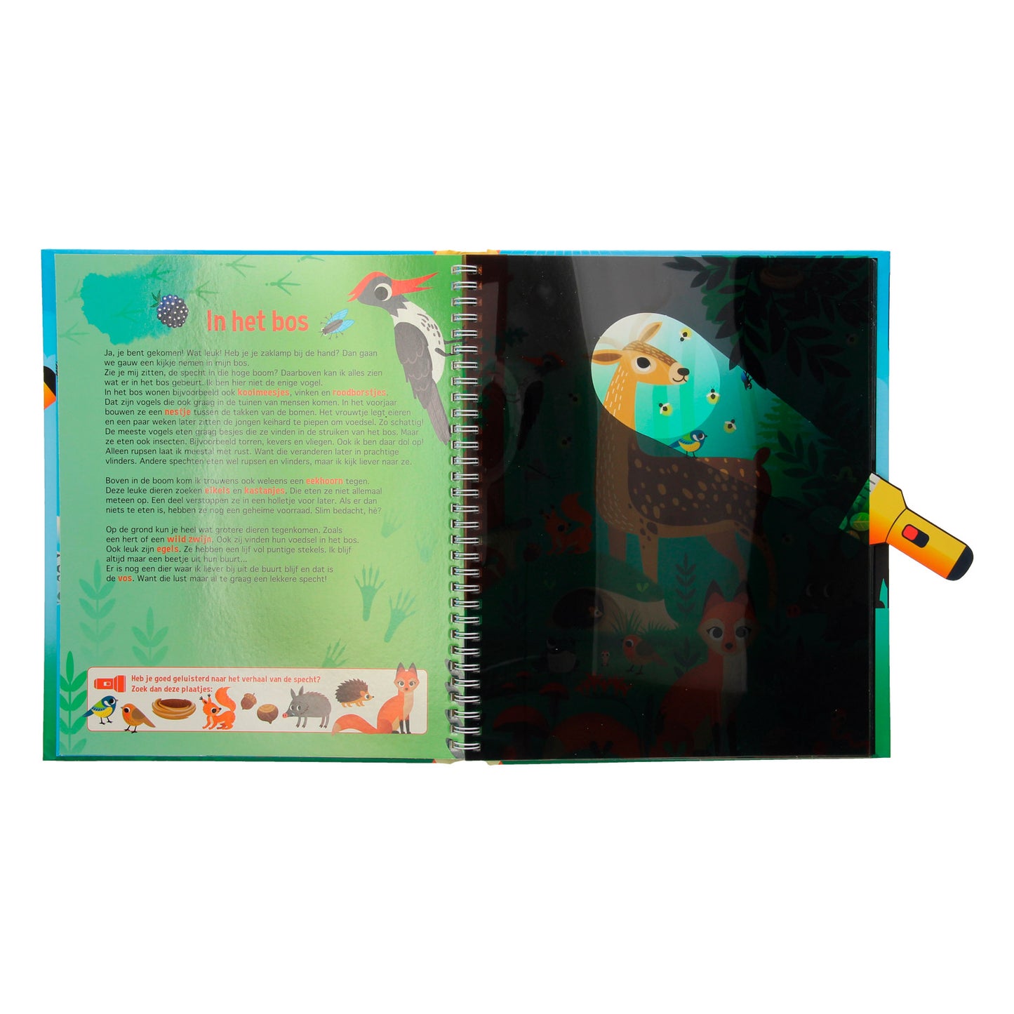 Recherche dans le monde animal + lampe de poche en carton