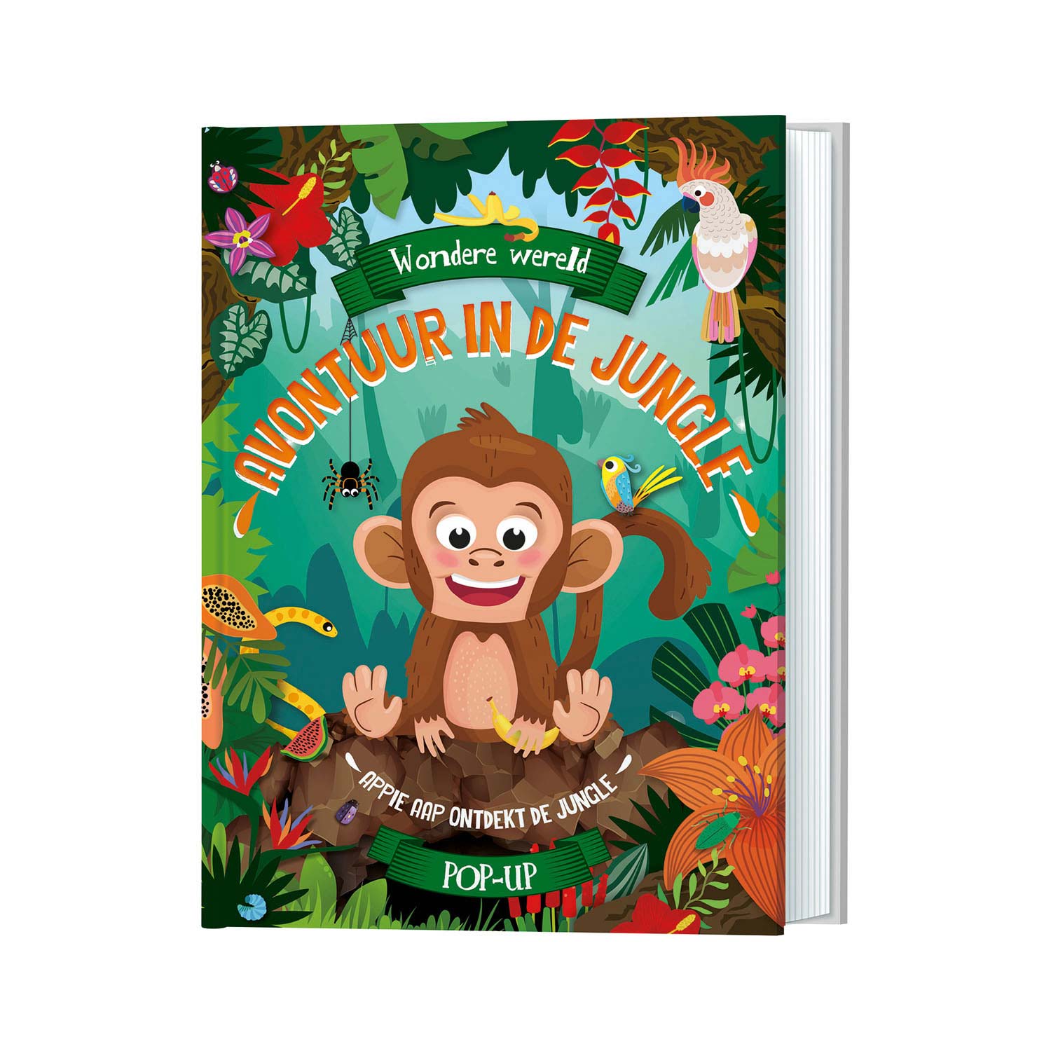 Merveilleux monde pop -up livre - Adventure in the Jungle