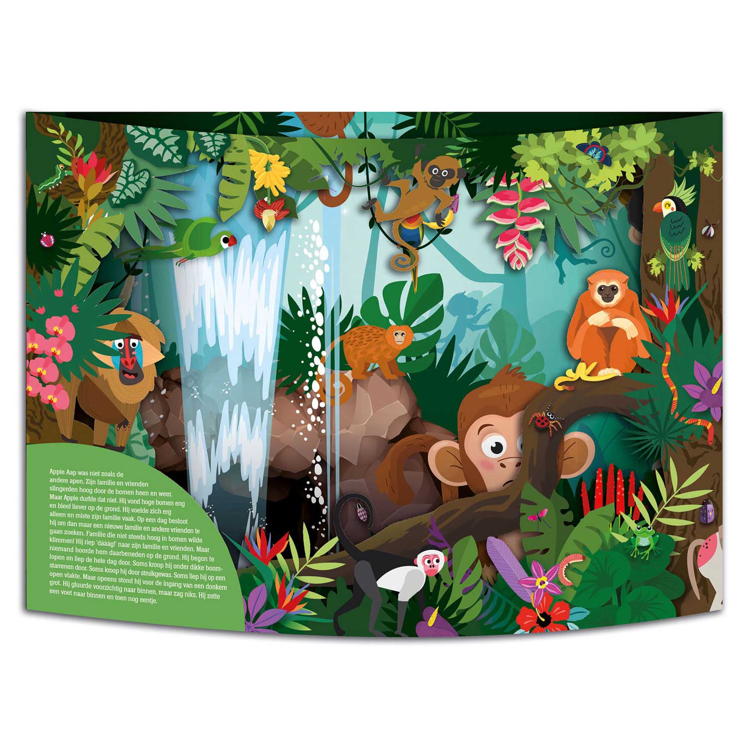 Merveilleux monde pop -up livre - Adventure in the Jungle